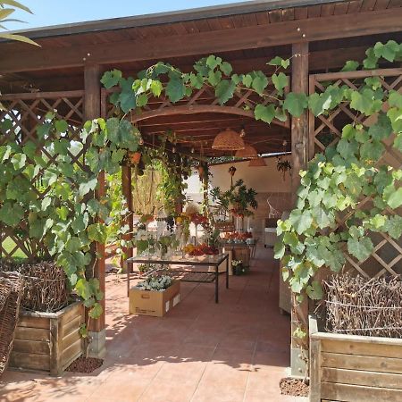 Alma Migrante Bed&Wine Hotel Telese Terme Exterior photo