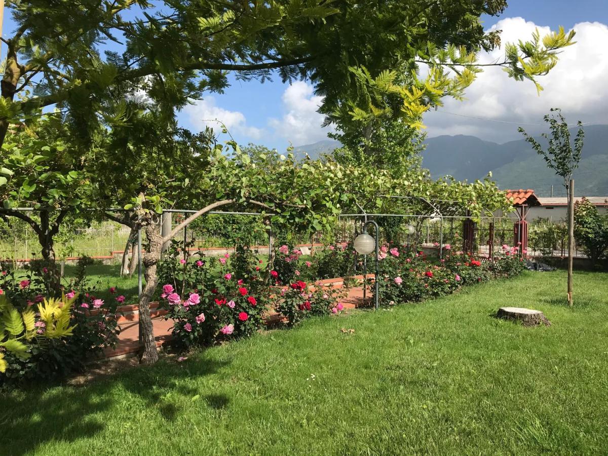 Alma Migrante Bed&Wine Hotel Telese Terme Exterior photo